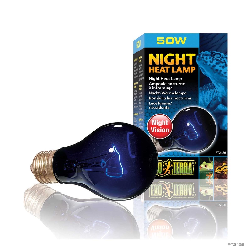 Exo Terra Night Glo Bulb