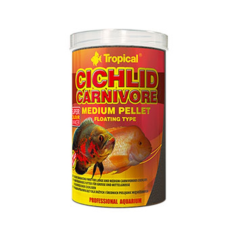 Tropical Cichlid Medium Carnivore