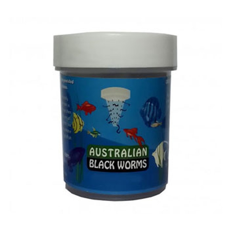Australian Dried Black Worms (loose)