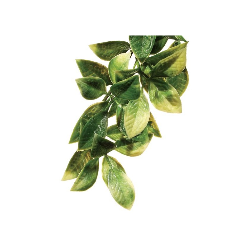 Exo Terra Mandarin Jungle Plant