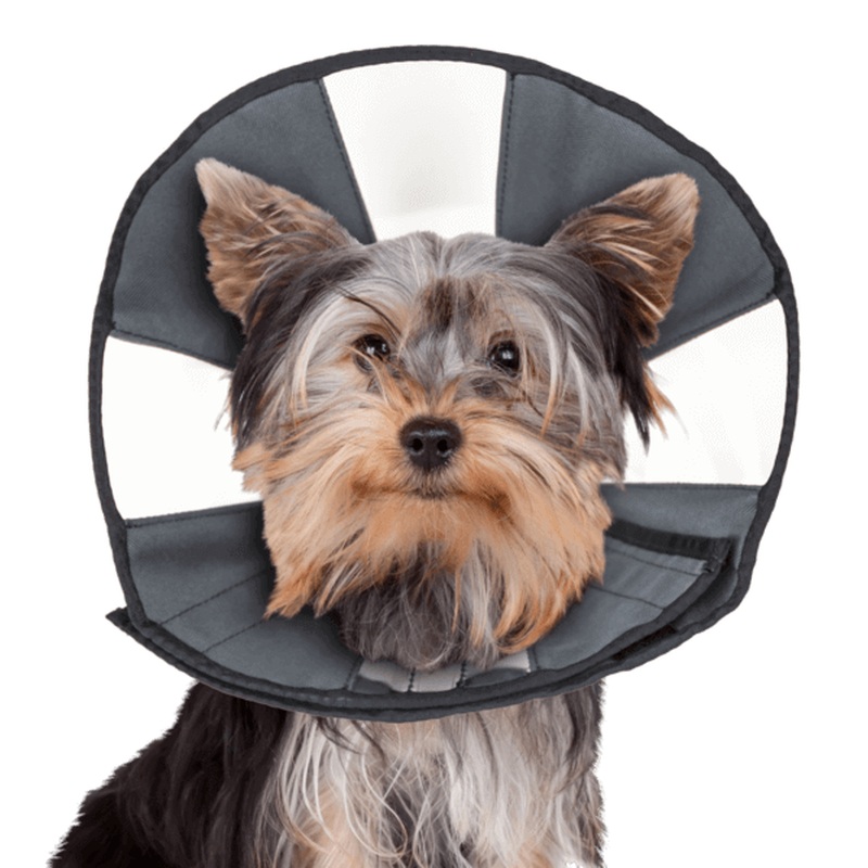 ZenPet - Zen Cone Large