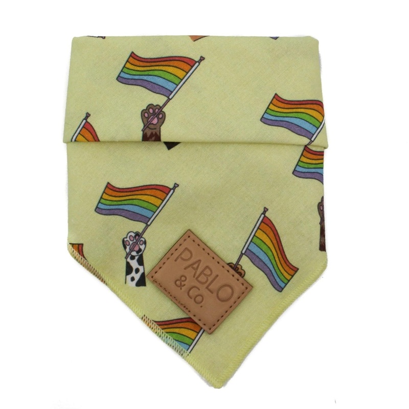 Pablo & Co Love is Love Bandana Large