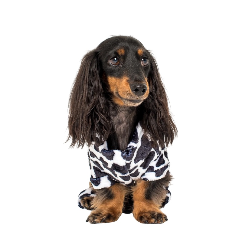 Pablo & Co Moo Moo Dog Onesie
