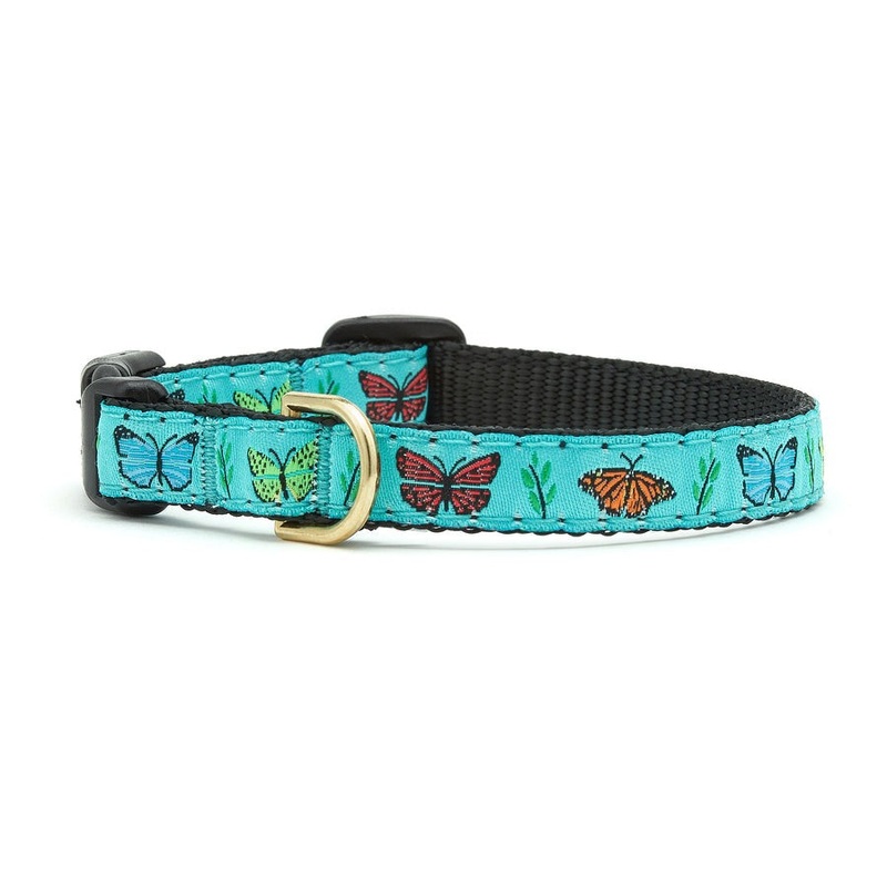 Up Country Butterfly Effect Small Breed Dog Collar Small Size