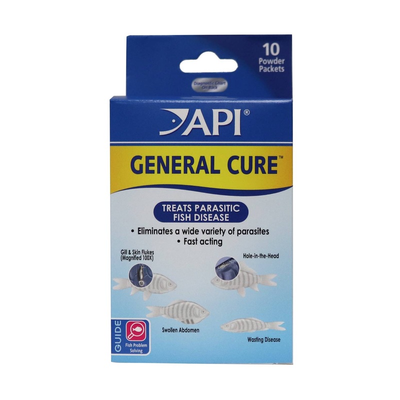 API General Cure Freshwater and Saltwater Fish Powder Medication 10-Count Box