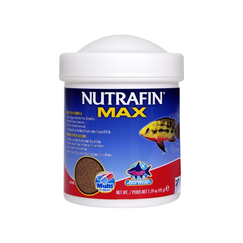Nutrafin Max Baby Fish Formula