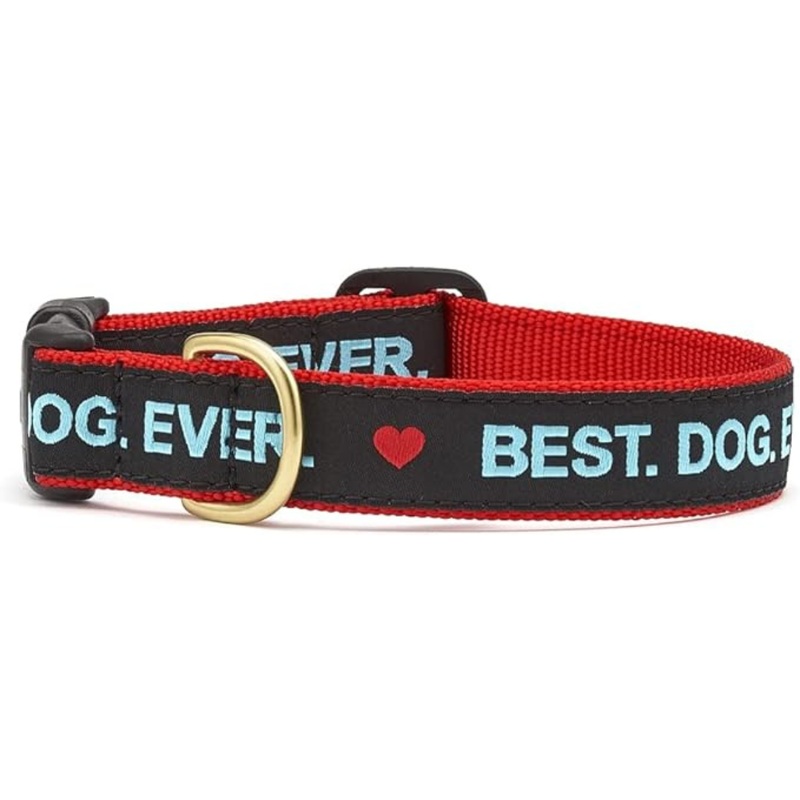 Up Country Best Dog Ever Collar Small (9"-15) 5"/8"