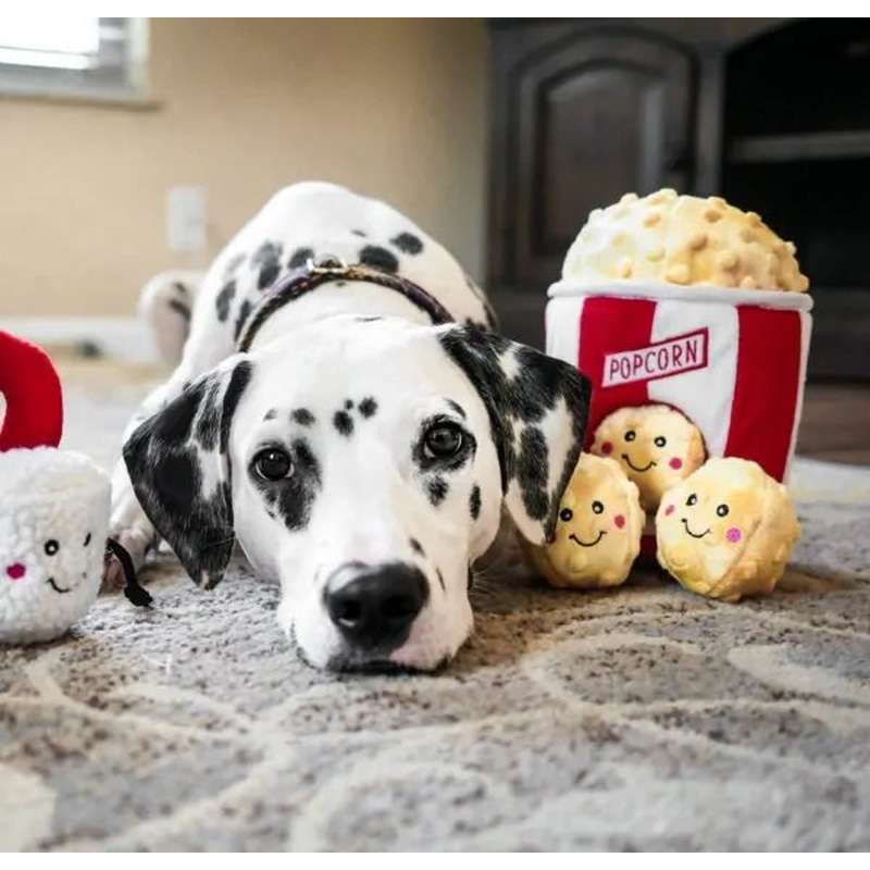 Zippy Burrow - Popcorn Bucket