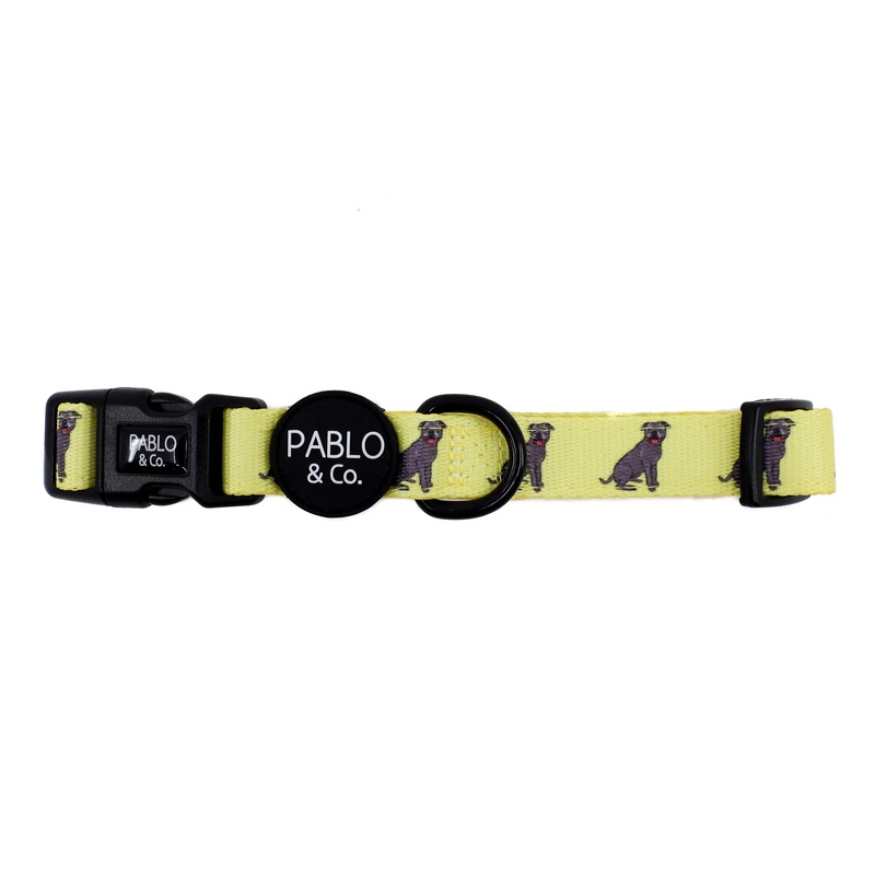 Pablo & Co Dog Collar Staffy