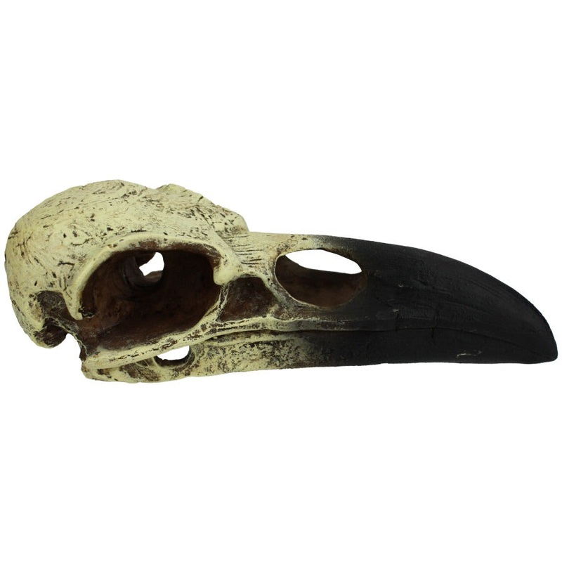 Komodo Raven Skull Hideout Large