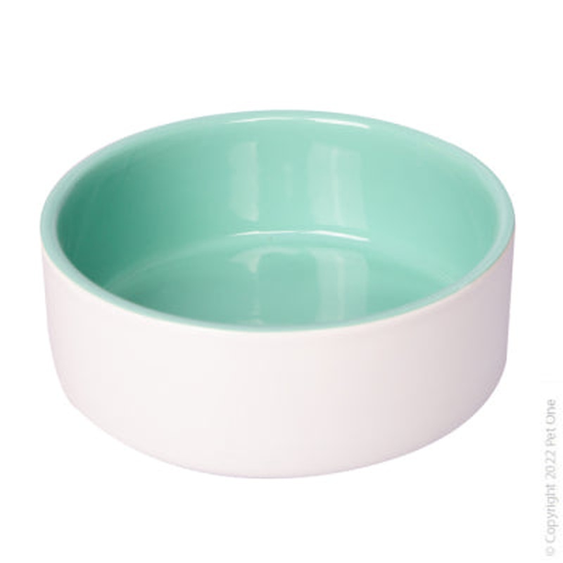 Ceramic Pet Bowl