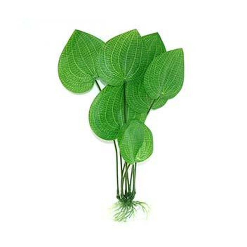 Aqua Dekore Radicans Swordplant Silk Plant
