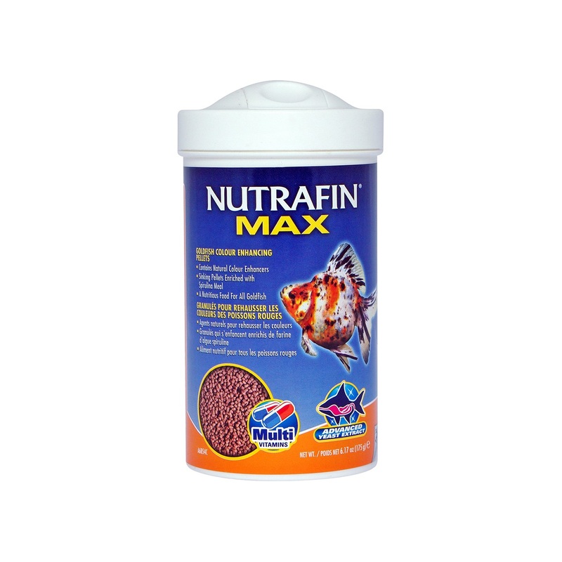 Nutrafin Max Goldfish Wheatgerm Pellet