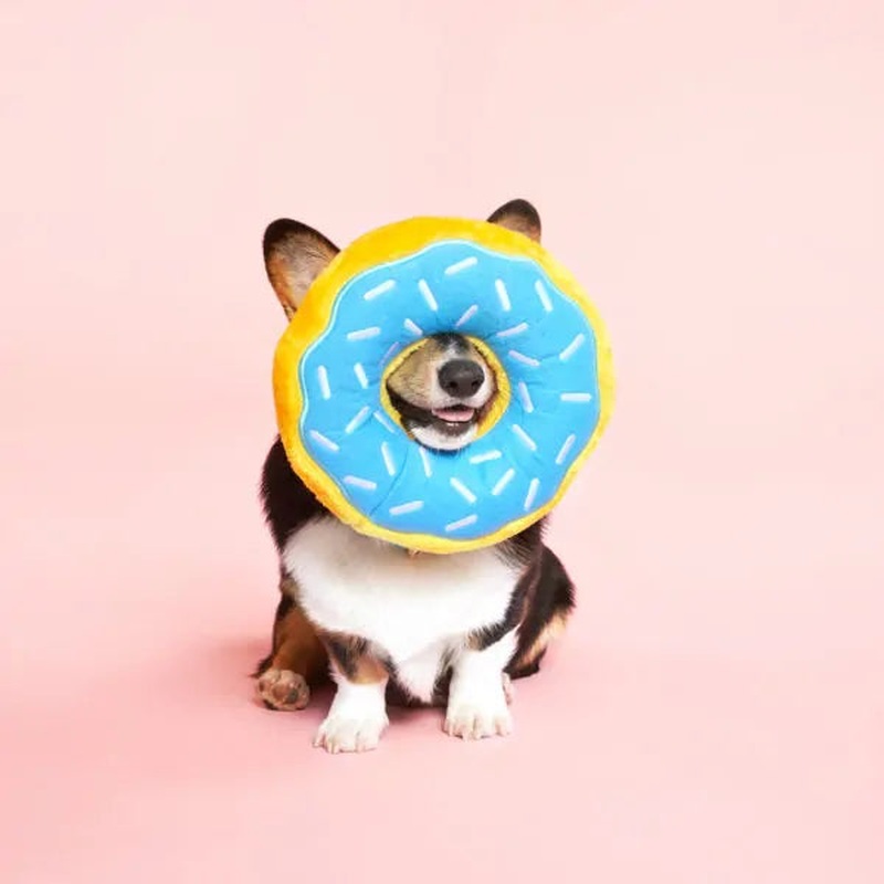 ZippyPaws JUMBO DONUTZ BLUEBERRY 26.5x6.5cm