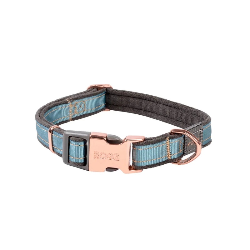 Rogz Urban Classic Collar Turquoise