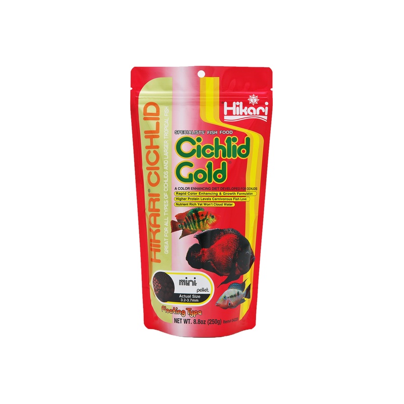 Hikari Cichlid Gold Mini