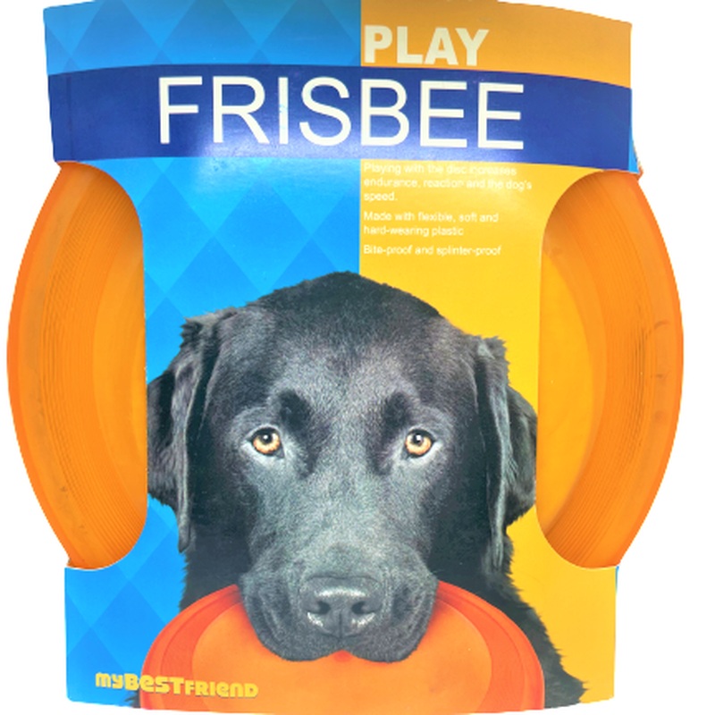 MyBestFriend Play Frisbee