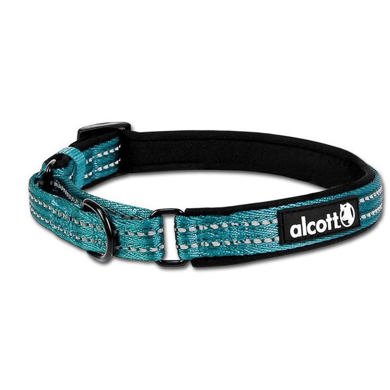 Alcott Martingale Dog Collar - Medium 14-20" - Blue