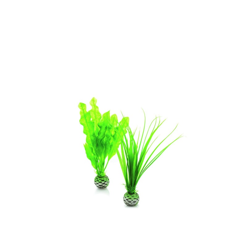 biOrb Easy Plant Set Green