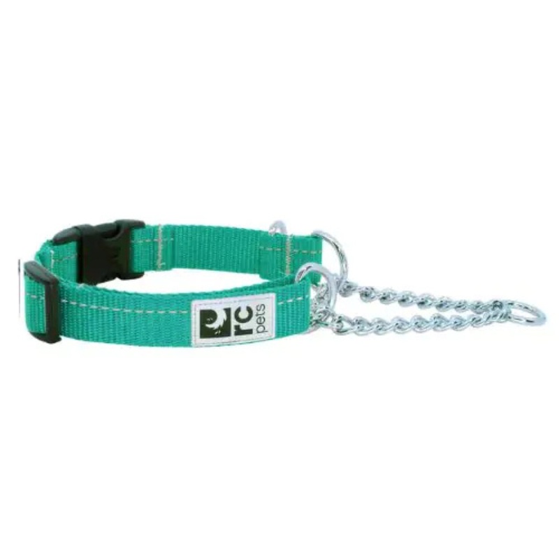 RC PETS Primary Training Clip Dog Collar, Parakeet, Large, 1"x 18"-26"