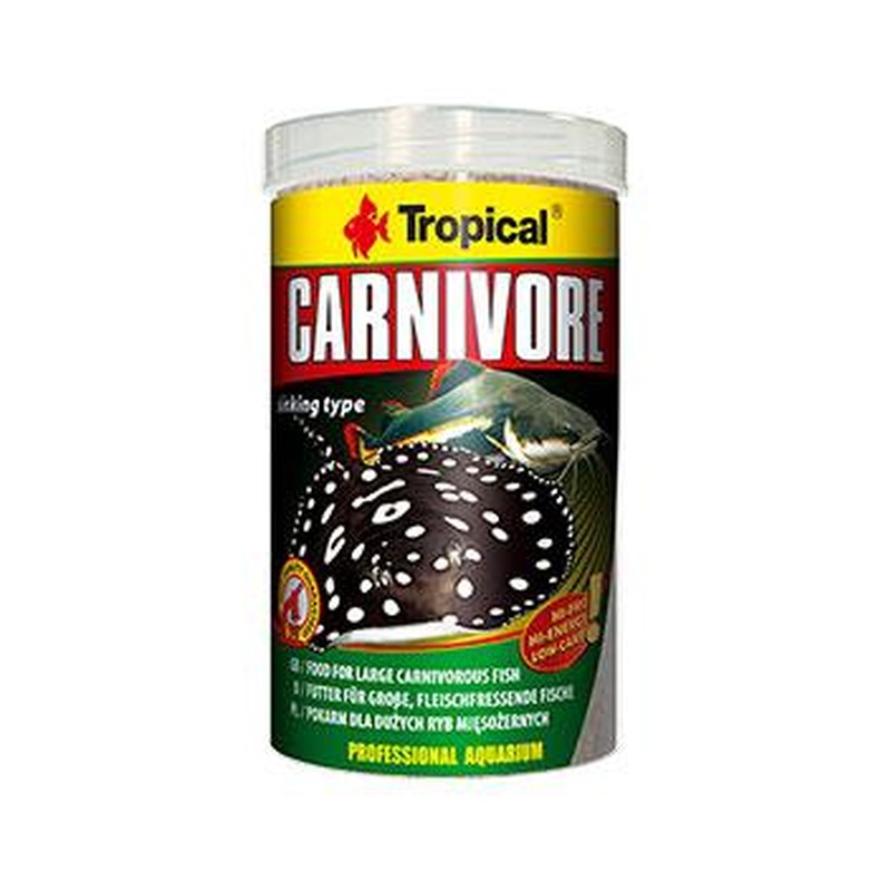 Tropical Carnivore