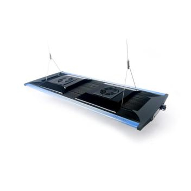 Zetlight 200W QMaven LED - 12000K