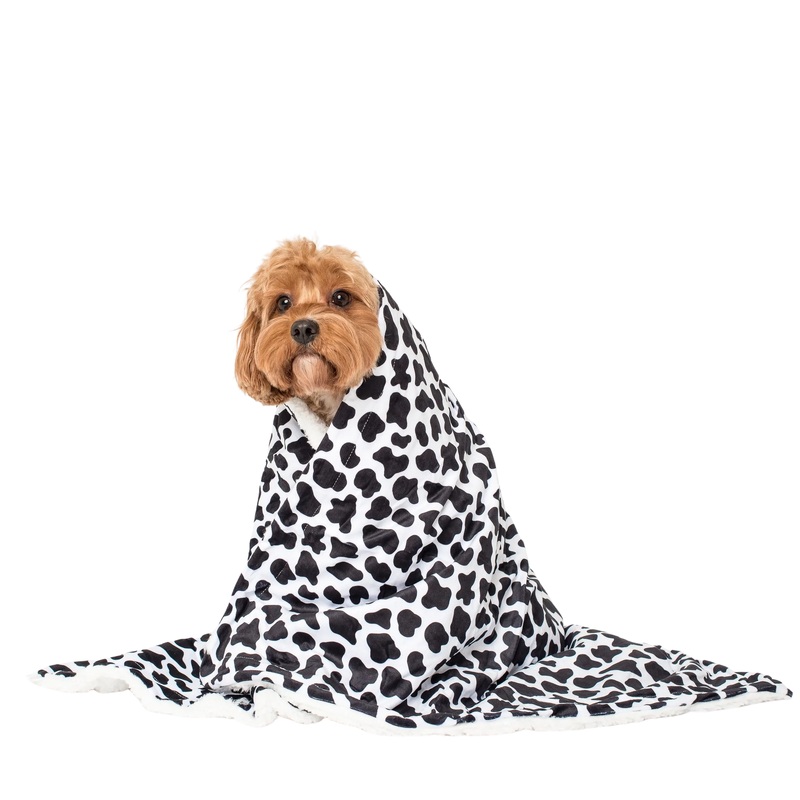 Pablo & Co Moo Moo Dog Blanket