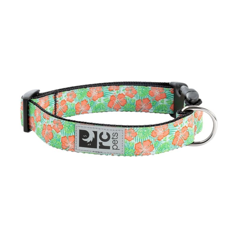 RC PETS Dog Mahalo Fashion Clip Collar, L, 1"/1 5" - 25"