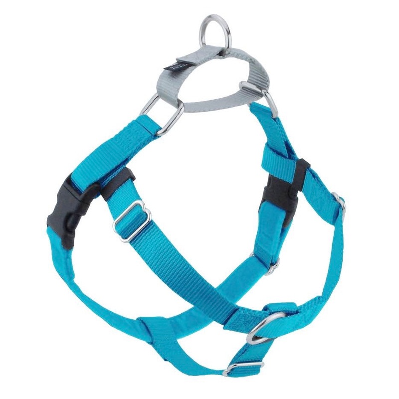 2 Hounds Design Freedom No-Pull Dog Harness - Large 1" x 28-32" - Turquoise