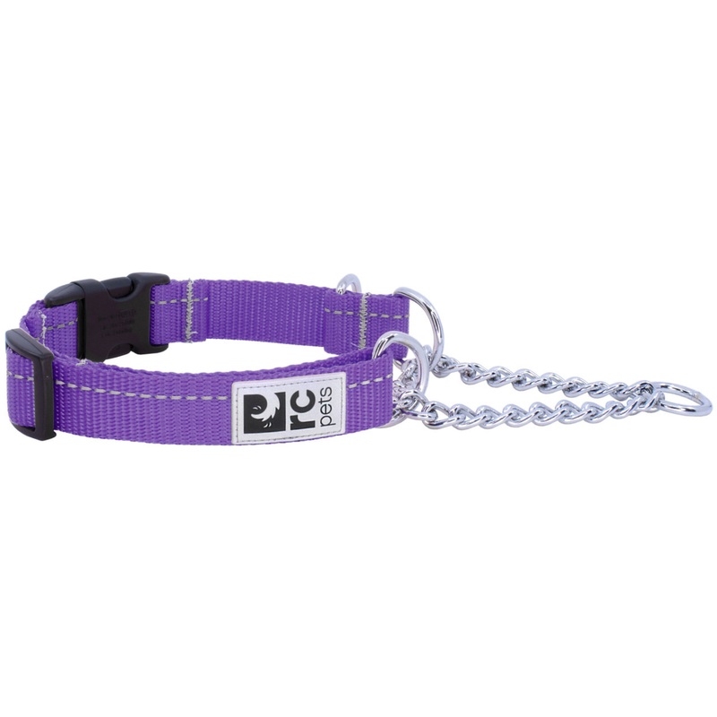 RC PETS Dog Primary Training Clip Collar, Purple, L, 1"/ 18"-26"