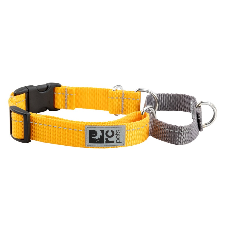 RC PETS Dog Primary Web Training Clip Collar, Marigold, M, 1"/ 14"-19"