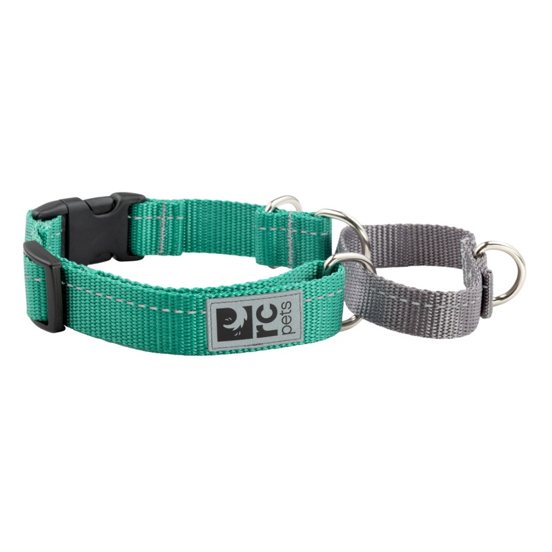 RC PETS Dog Primary Web Training Clip Collar, Parakeet, S, 3/4" / 11"-14"