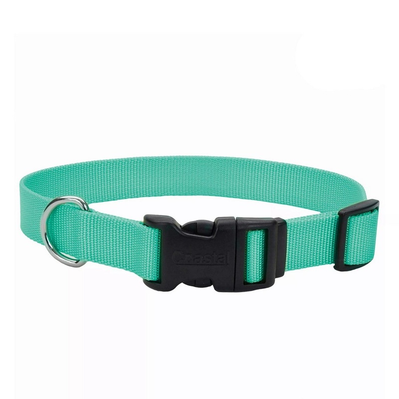 Coastal Adjustable Dog Collar with Plastic Buckle 1"x14"-20" Teal
