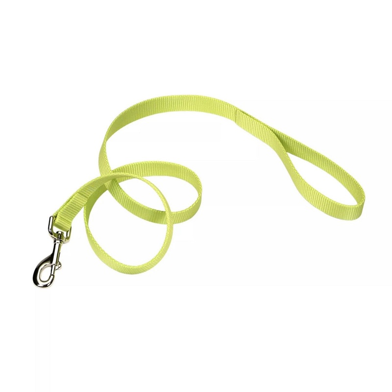 Coastal Single-Ply Dog Leash 1"x6' Lime