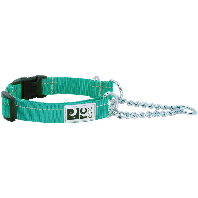 RC PETS Dog Primary Training Clip Collar, Parakeet, XS, 5/8"/ 9.5" - 11"