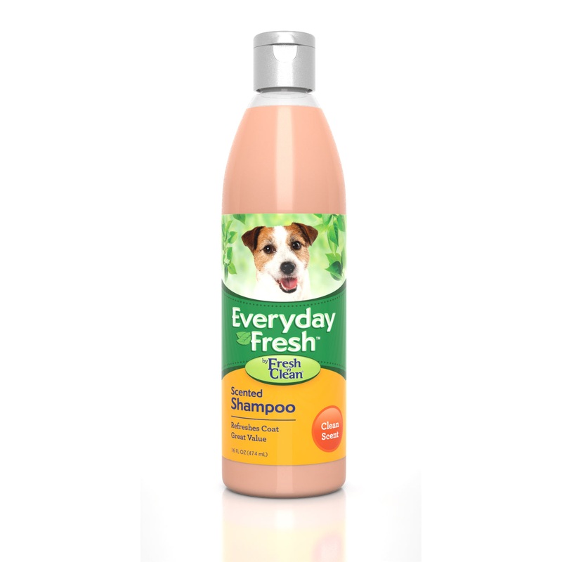 Everyday Fresh Clean Scent Shampoo