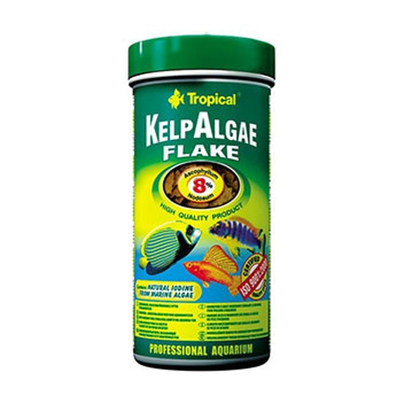 Tropical Kelp Algae Flake