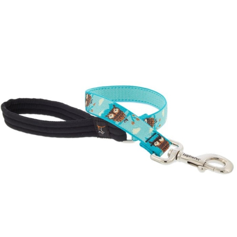Lupine MicroBatch Limited Designs Dog Leash 1" x 6' Hoot