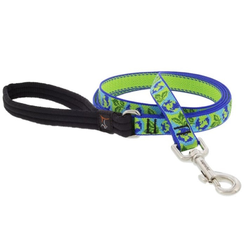 Lupine MicroBatch Limited Designs Dog Leash 3/4" x 4' Earth Day