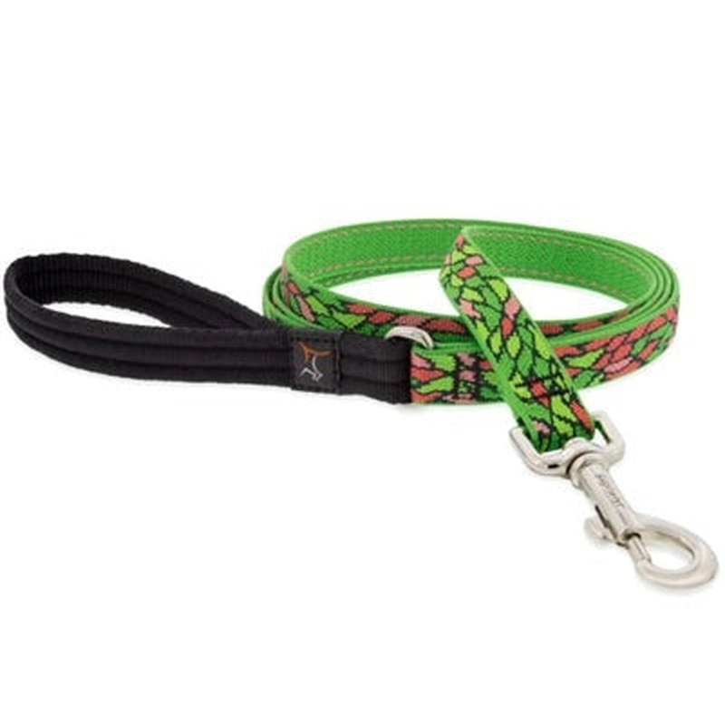Lupine Pet Dog Leash 3/4" x 6' Tiffany