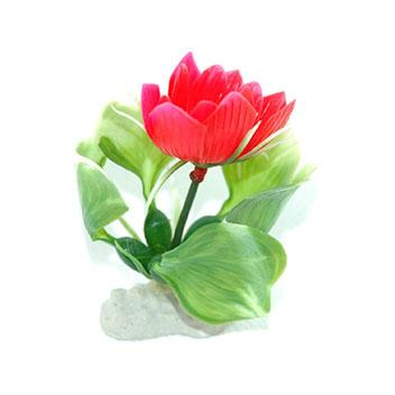 AquarWorld Pink Lily