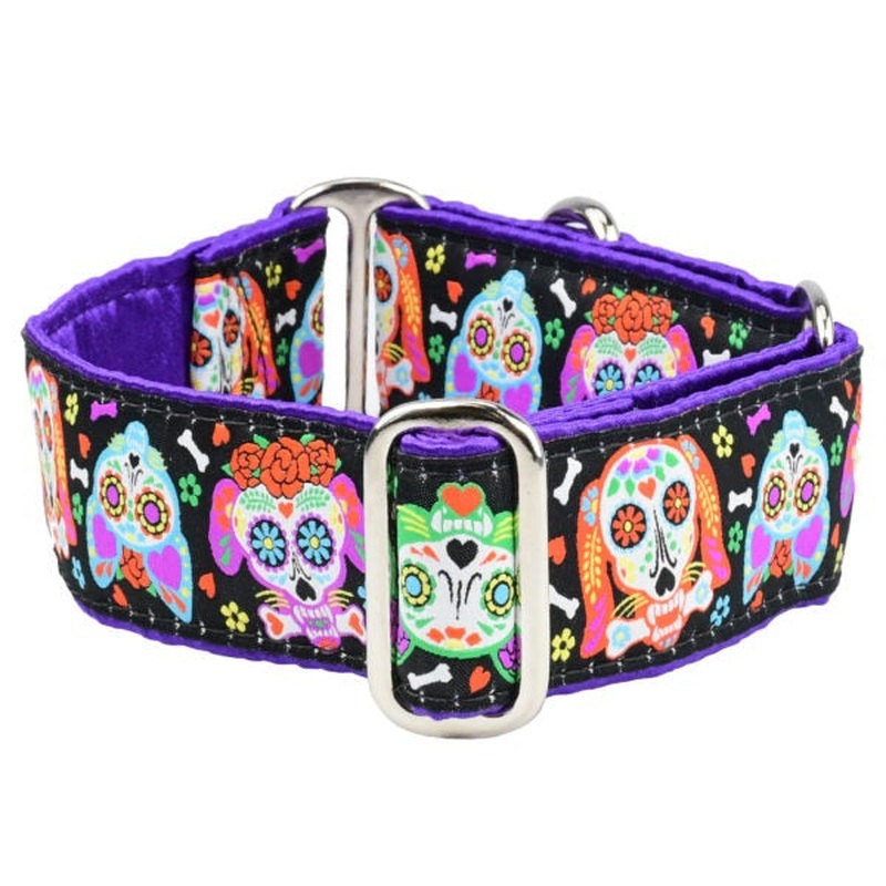 2 Hounds Design Dog Collar - Small 10-14" - XOLO  Sugar Skull