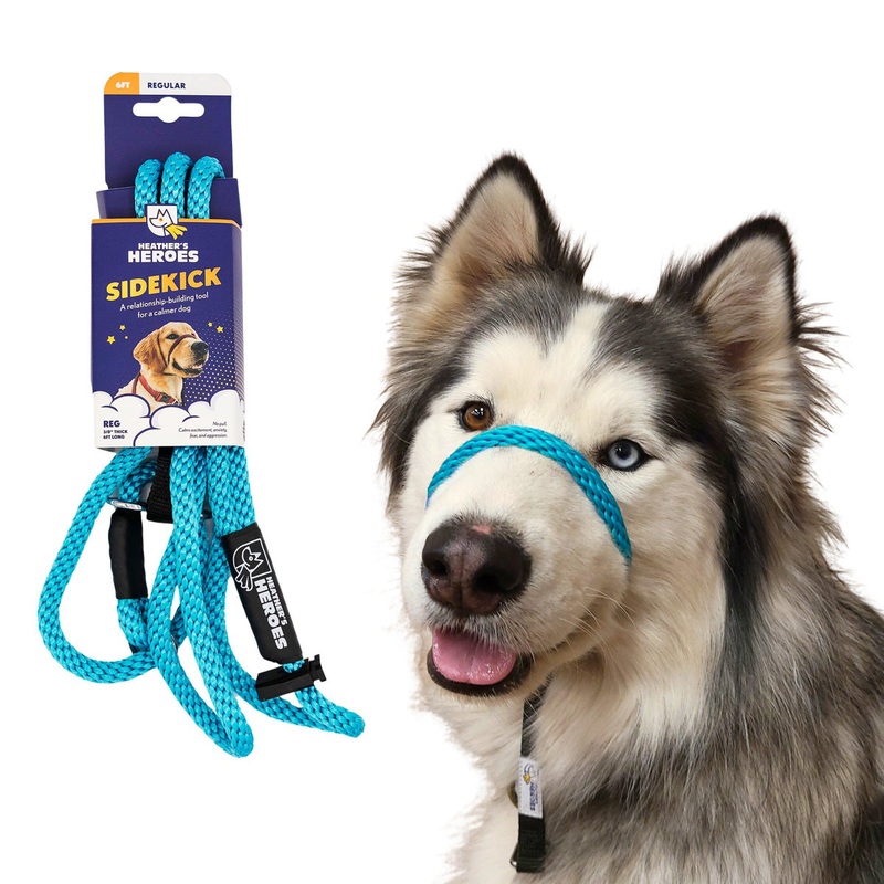 Heather's Heroes Sidekick Regular 3/8" x 6' Turquoise Dog Leash