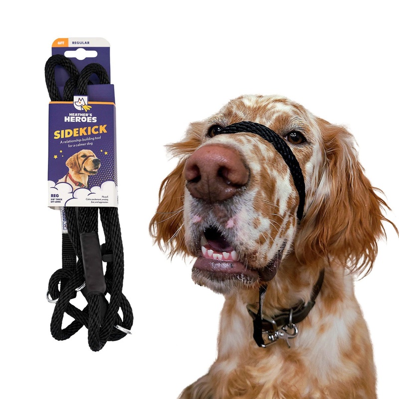 Heather's Heroes Sidekick Regular Black Dog Leash 3/8" x 6'