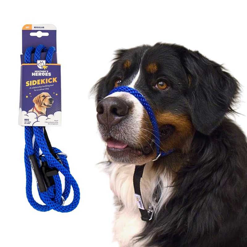 Heather's Heroes Sidekick Regular  Blue Dog Leash 3/8" x 6'