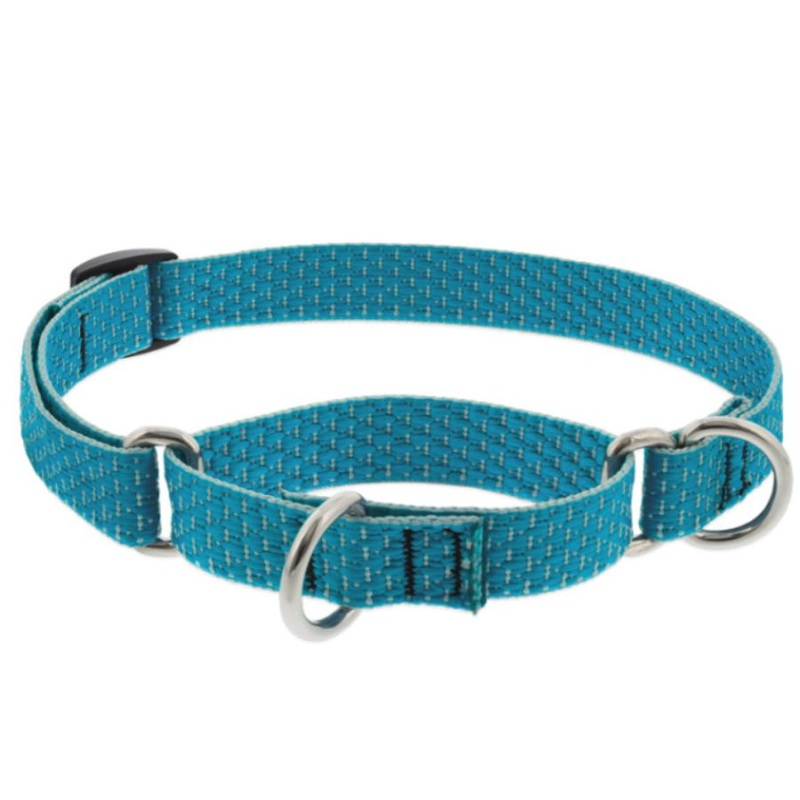 Lupine Eco Martingale Collar for Training 3/4" x 14"-20" Tropical Sea