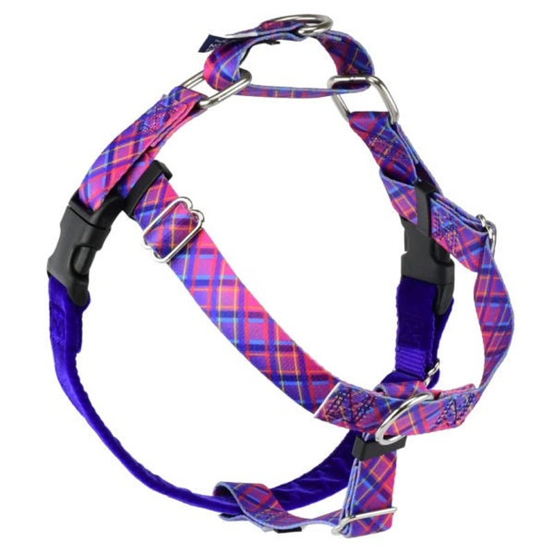 2 Hounds Design Freedom No-Pull Dog Harness - Medium 1" 24-28" - Neon Sunrise Pink Plaid
