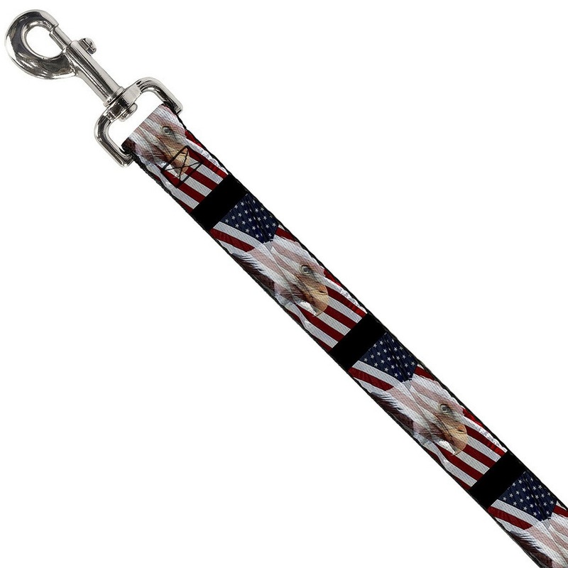 Buckle-Down Pet American Eagle Flags Dog Leash 6'