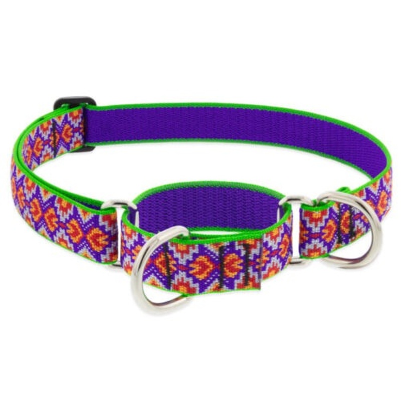 Lupine Collar Adjustable 1" x 16"-28" Azteca