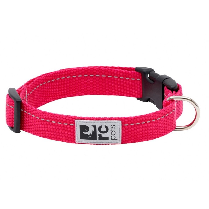 RC Pets Primary Clip Collar Medium Azalea